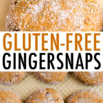 Gingersnap cookies on a cookie sheet and with a bite taken out of the cookie.