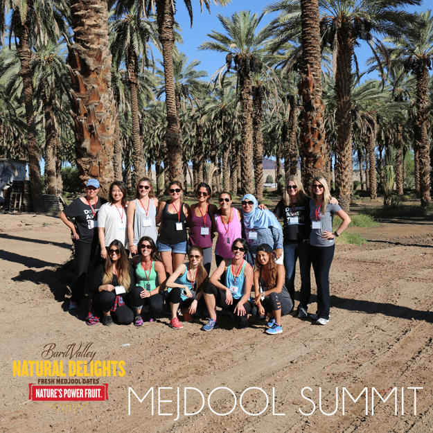 Group photo of bloggers at mejdool summit.