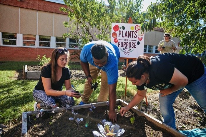 Sabra Planting for Plants with a Purpose Sabra Planting for Plants with a Purpose