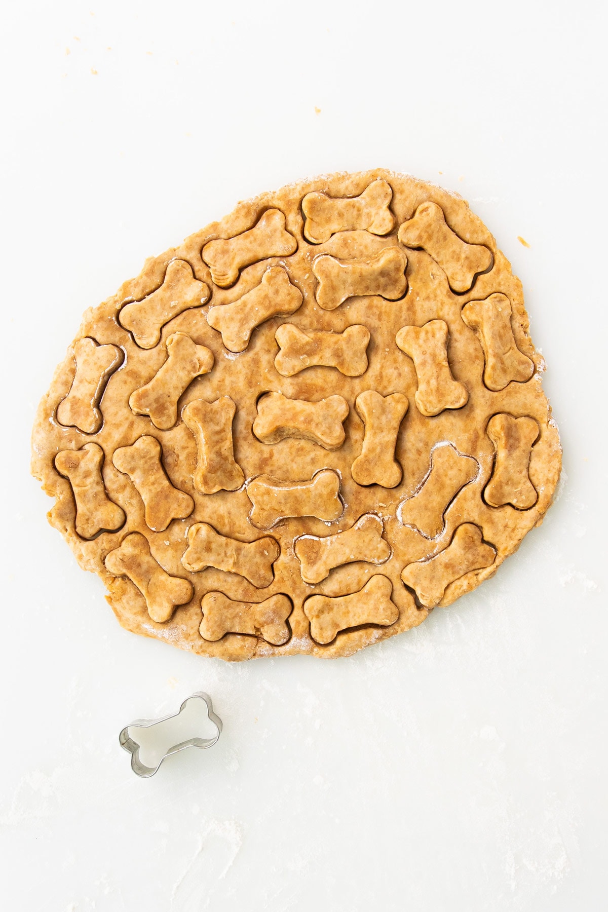 Rolled out dog treat dough with bone-shaped cut outs with a bone-shaped cookie cutter.