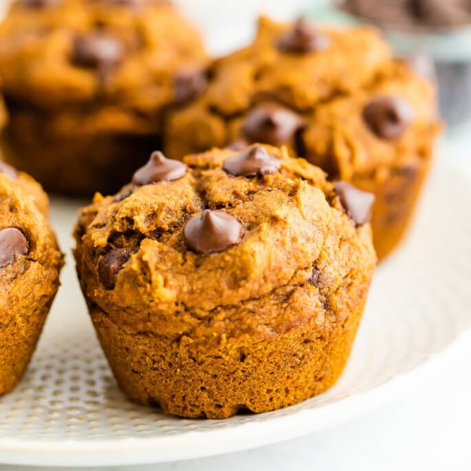My Favorite Healthy Pumpkin Muffin Recipe A close up of a vegan pumpkin muffin topped with chocolate chips.