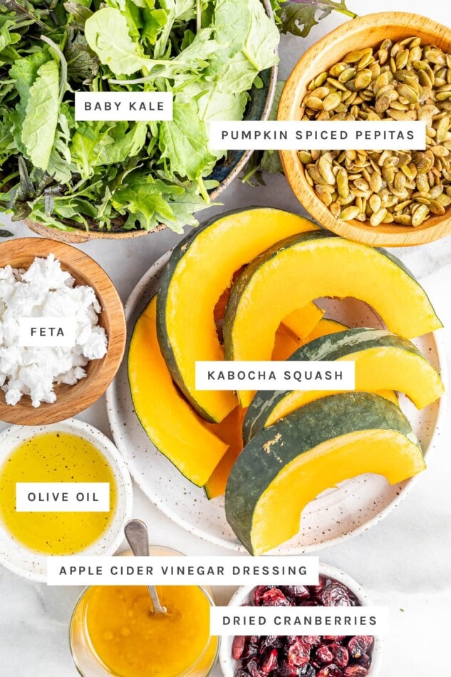Ingredients measured out to make a harvest fall salad: baby kale, spiced pepitas, feta, kabocha squash, olive oil, vinegar dressing and dried cranberries.