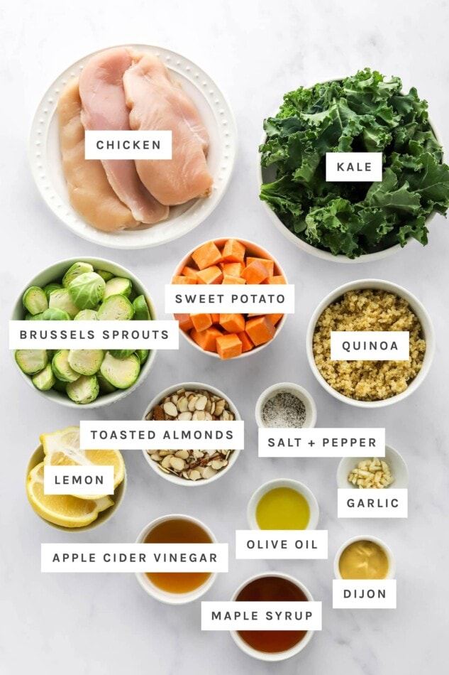 Ingredients measured out to make a chicken protein bowl: chicken, kale, sweet potato, brussels sprouts, quinoa, toasted almonds, salt, pepper, lemon, garlic, olive oil, dijon, vinegar and maple syrup.