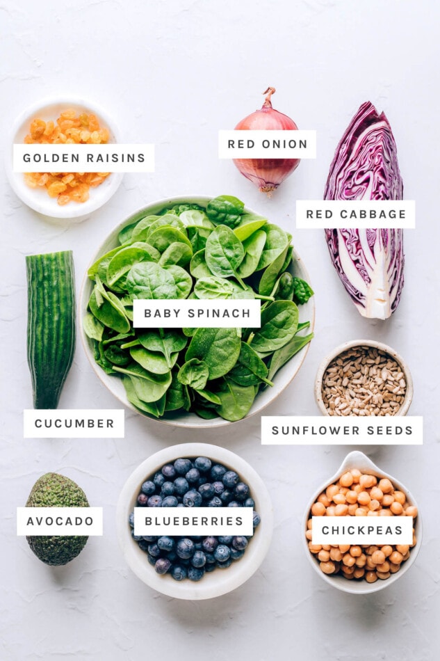 Antioxidant Power Salad with Blueberry Tahini Dressing #vegan #healthy #plantbased Ingredients measured out to make a blueberry spinach salad: golden raisins, red onion, red cabbage, baby spinach, cucumber, sunflower seeds, avocado, blueberries and chickpeas.