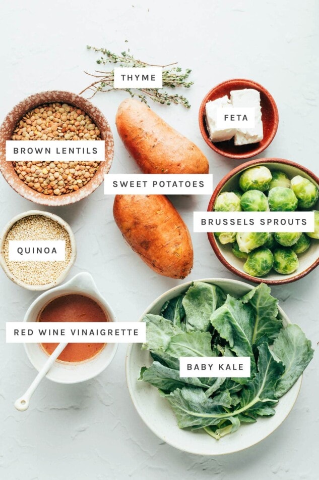 PIN THIS --> Kale Sweet Potato Lentil Salad Ingredients measured out to make Kale Sweet Potato Lentil Salad: thyme, feta, brown lentils, sweet potatoes, brussels sprouts, quinoa, red wine vinaigrette and baby kale.