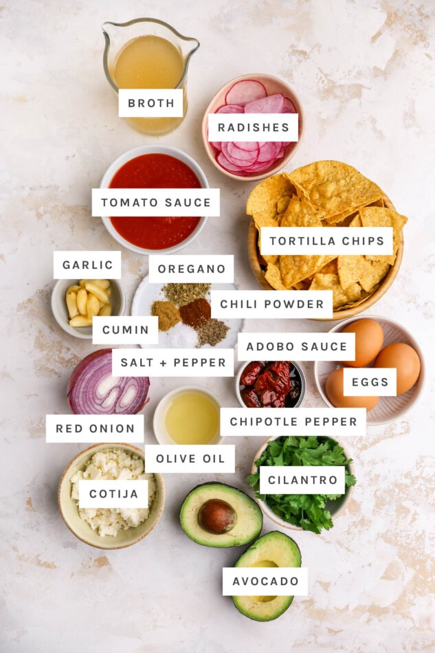 Ingredients measured out to make Red Chilaquiles: broth, radishes, tomato sauce, tortilla chips, garlic, oregano, chili powder, cumin, salt, pepper, adobo sauce, eggs, chipotle pepper, red onion, olive oil, cilantro, cotija and avocado.