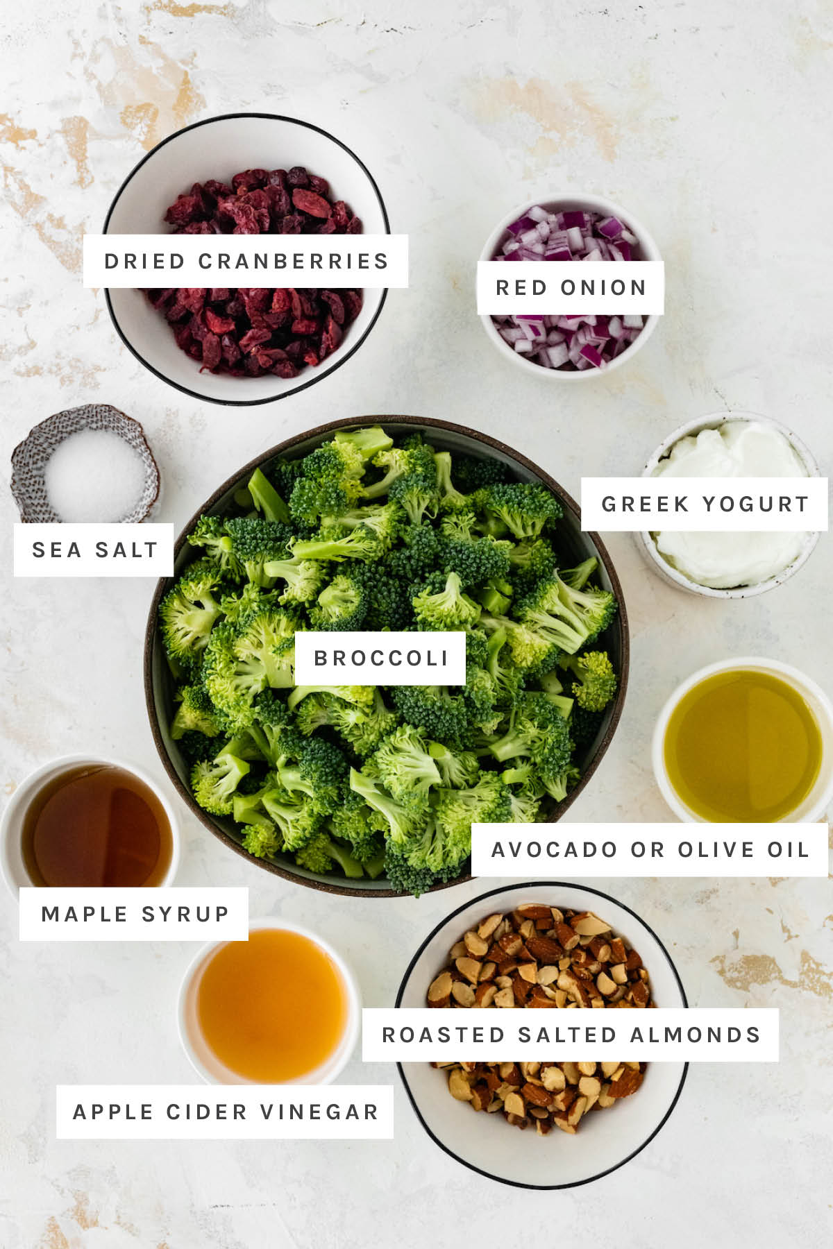 Ingredients measured out to make Broccoli Cranberry Salad: dried cranberries, red onion, sea salt, broccoli, Greek yogurt, maple syrup, avocado/olive oil, vinegar and roasted salted almonds.