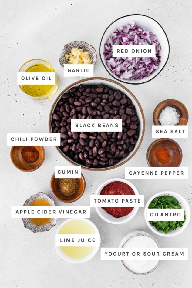 Ingredients measured out to make Easy Black Bean Dip: red onion, garlic, olive oil, black beans, sea salt, chili powder, cumin, cayenne pepper, tomato paste, vinegar, cilantro, lime juice and yogurt/sour cream.