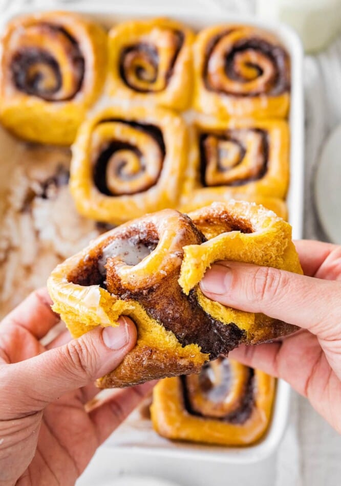 Two hands pulling apart a vegan pumpkin cinnamon roll.