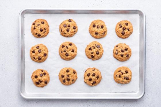 Twelve almond flour chocolate chip cookies on a baking tray after being baked in the oven.