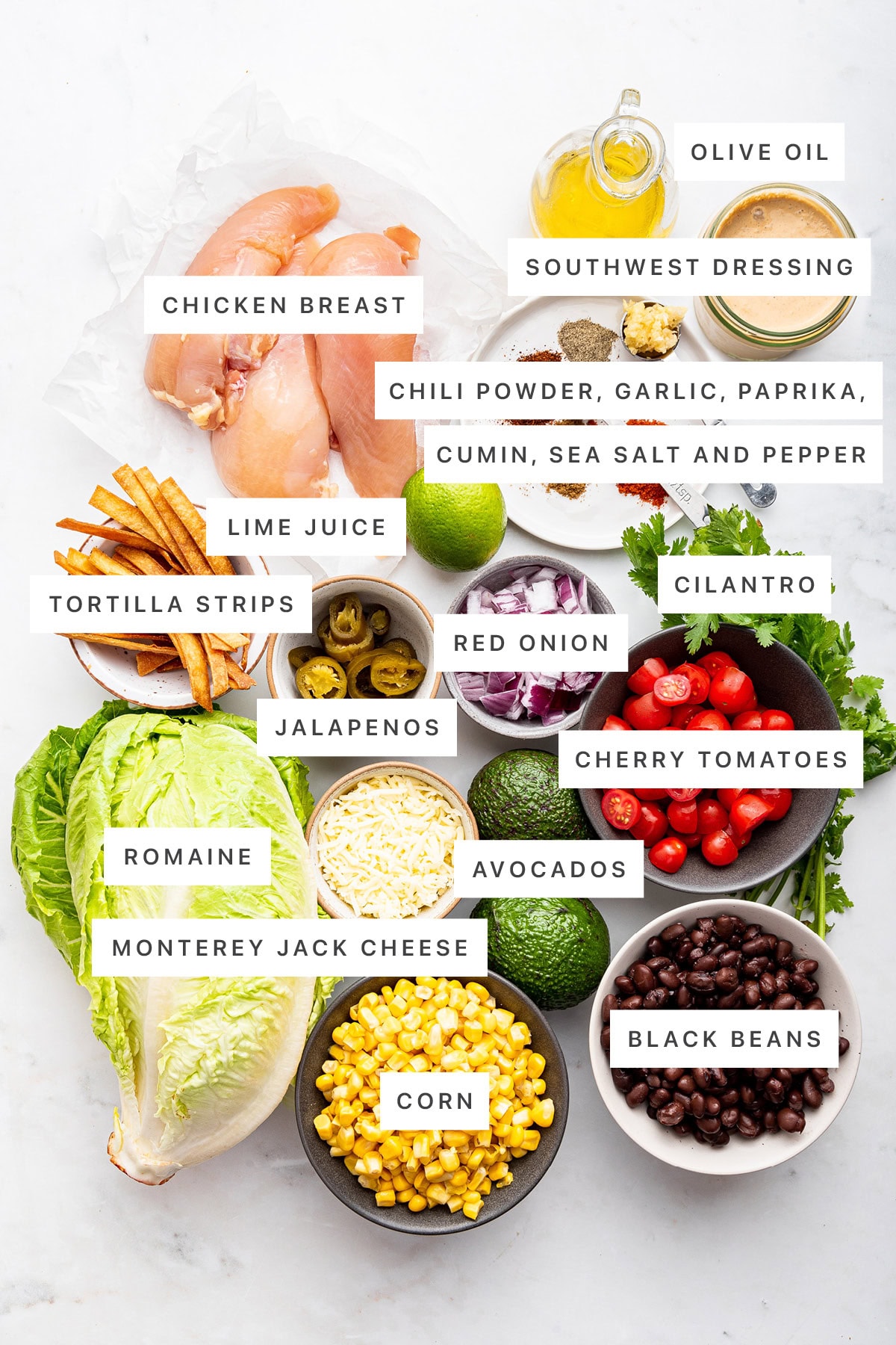Ingredients measured out to make Southwest Chicken Salad: chicken breast, olive oil, southwest dressing, chili powder, garlic, paprika, cumin, sea salt, pepper, lime, tortilla strips, jalapenos, red onion, cilantro, cherry tomatoes, romaine, avocados, monterey jack cheese, corn and black beans.