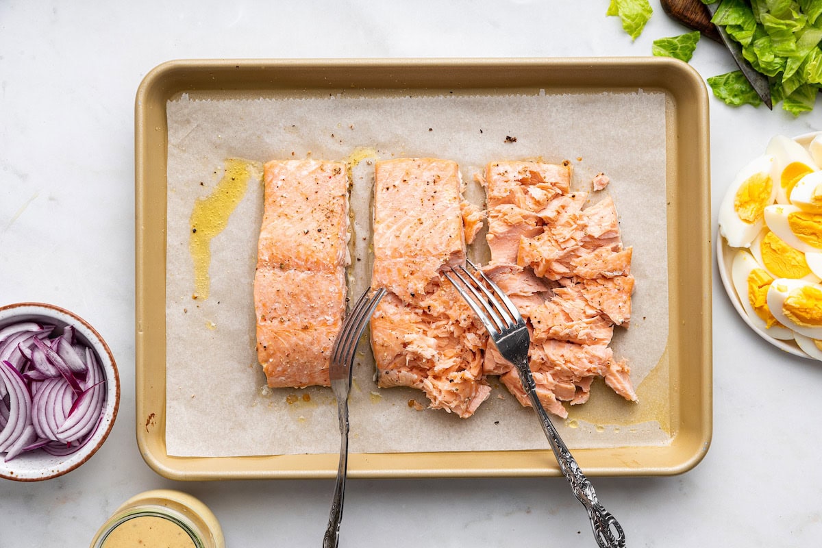 Three salmon filets on a baking tray with two metal forks that are shredding the salmon.