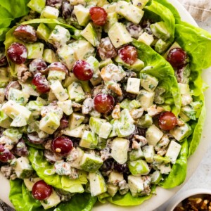 A Waldorf salad with sliced apples and grapes served on a bed of lettuce.