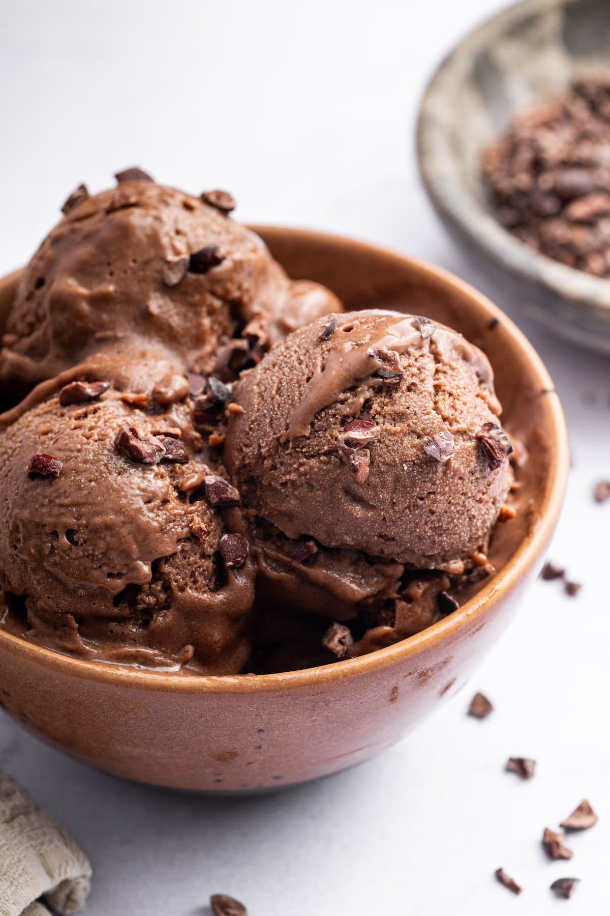 A serving of chocolate protein ice cream that is topped with cacao nibs.
