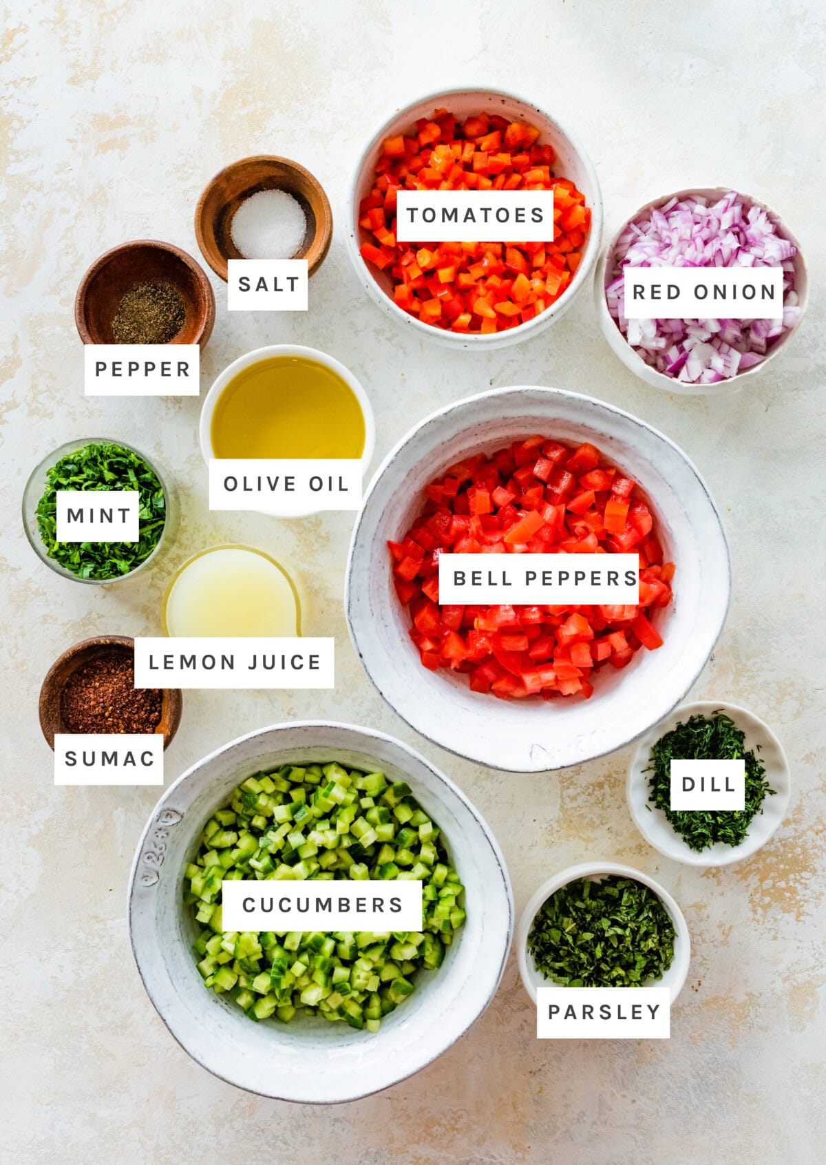 Ingredients measured out to make Shirazi Salad: Tomatoes, cucumber, red onion, bell pepper, fresh parsley, fresh mint, fresh dill, lemon juice, olive oil, sumac, salt, pepper.