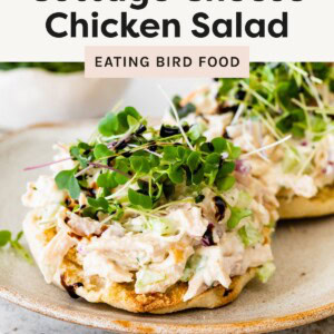 Close-up of a cottage cheese chicken salad served on toasted bread, topped with fresh microgreens.