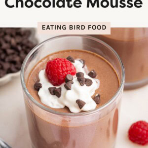 Cottage cheese chocolate mousse in a glass topped with whip cream, chocolate chips and fresh raspberries.