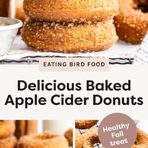 Stack of sugar-coated baked apple cider donuts on a wire rack. Close-up of a sugar-coated baked donut with a bite taken out. Overhead view of several baked apple cider donuts on a cooling rack with cinnamon sticks.