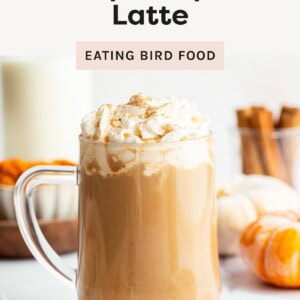 A glass mug filled with iced pumpkin spice latte topped with whipped cream and sprinkled with spice, surrounded by pumpkins and cinnamon sticks.