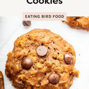 Close-up of a pumpkin oatmeal cookie with chocolate chips on a white background.