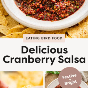 Top Photo: A close-up of a rustic white bowl filled with vibrant red and green cranberry salsa, surrounded by golden yellow tortilla chips. Bottom Left Photo: A hand dipping a tortilla chip into the chunky, dark cranberry salsa. Bottom Right Photo: A bowl of cranberry salsa with a spoon, next to a cloth napkin and slices of lime. The photo has a graphic overlay that says "Festive + Bright."