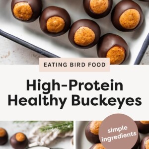 Chocolate-dipped peanut butter buckeye bites arranged on a baking tray Plate of high-protein buckeye treats with dark chocolate coating Close-up of buckeye bites on a plate with one cut open showing the peanut butter center Assorted high-protein buckeyes displayed on a serving plate with simple ingredients theme