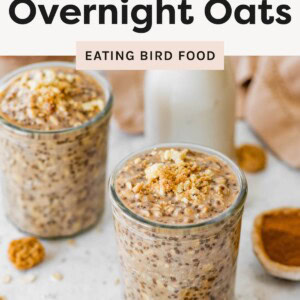 A glass jar filled with creamy snickerdoodle overnight oats topped with cookie crumbles, with another jar, milk bottle, and oats scattered in the background.