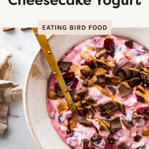 Bowl of cherry cheesecake yogurt topped with chocolate cereal, cherries, and almond butter with a gold spoon.