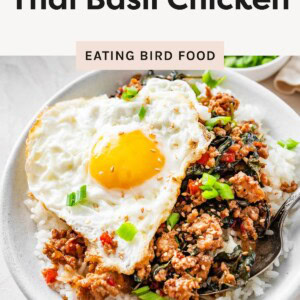 Thai basil chicken over white rice topped with a crispy fried egg and green onions.