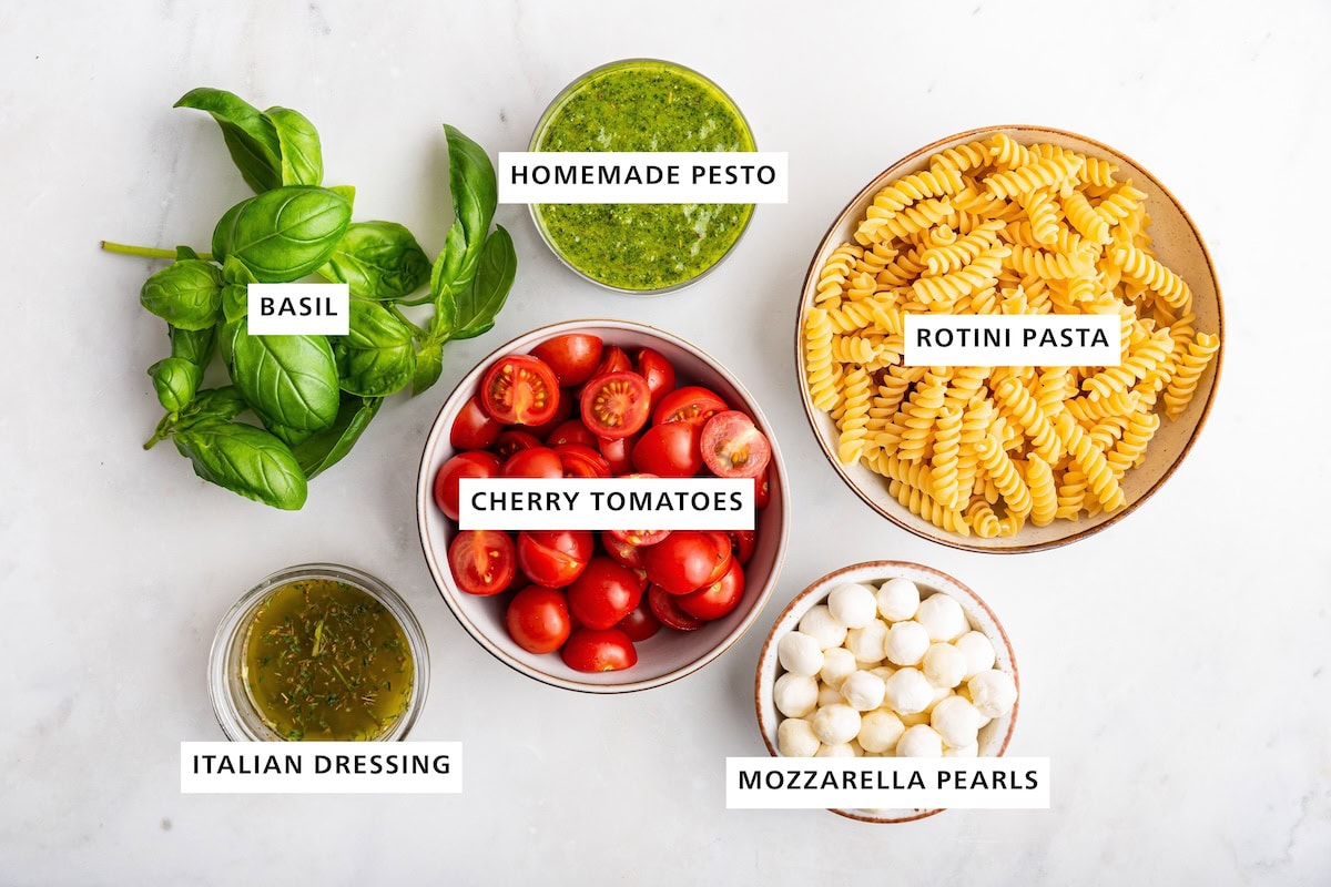 Ingredients measured out to make Pesto Pasta Salad: rotini pasta, mozzarella pearls, homemade pesto, cherry tomatoes, basil and Italian seasoning.
